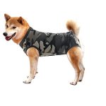 Why Won’t My Dog Pee After Surgery