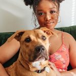 Are Bonios Good for Dogs