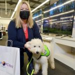 Are Dogs Allowed in Currys Pc World