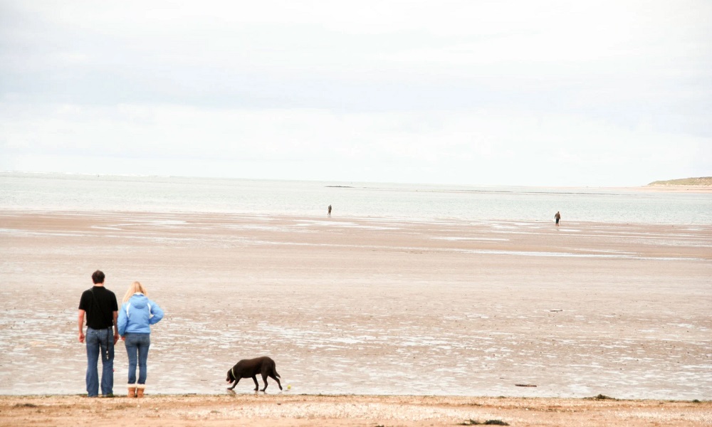 Are Dogs Allowed on Paignton Beach