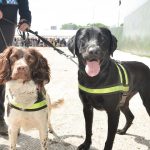 Are There Sniffer Dogs at Leeds Festival