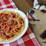 Can Dogs Eat Bolognese