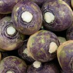 Can Dogs Eat Cooked Swede