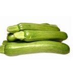 Can Dogs Eat Marrow Vegetables