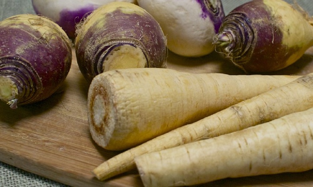 Can Dogs Eat Parsnips Cooked