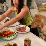 Can Dogs Eat Spring Rolls