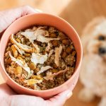 Can Dogs Eat Turkey Giblets