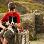 Can Dogs Go to Tintagel Castle