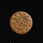 Can Dogs Have Digestive Biscuits