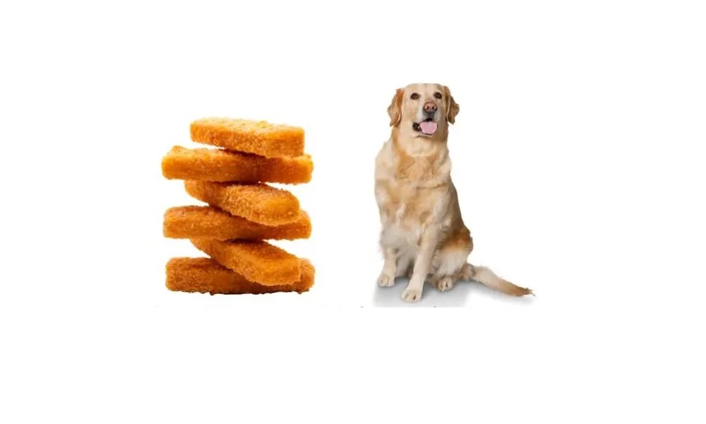 Can Dogs Have Fish Fingers