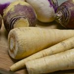 Can Dogs Have Turnips