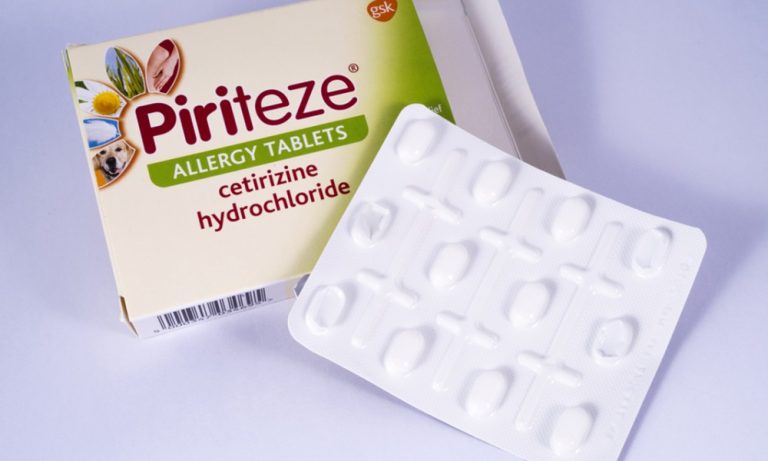 Can Dogs Take Piriteze? – Pet Help Reviews UK