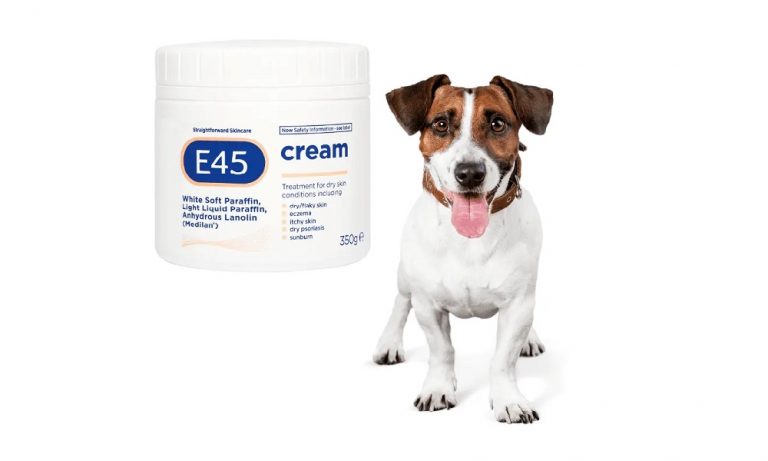 can-i-use-e45-on-my-dog-pet-help-reviews-uk