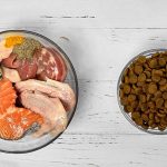 Can You Feed a Dog Frozen Meat