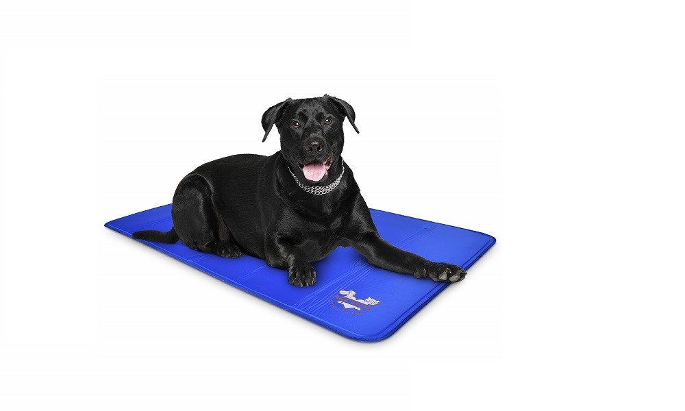 Can You Put a Dog Cooling Mat in the Freezer