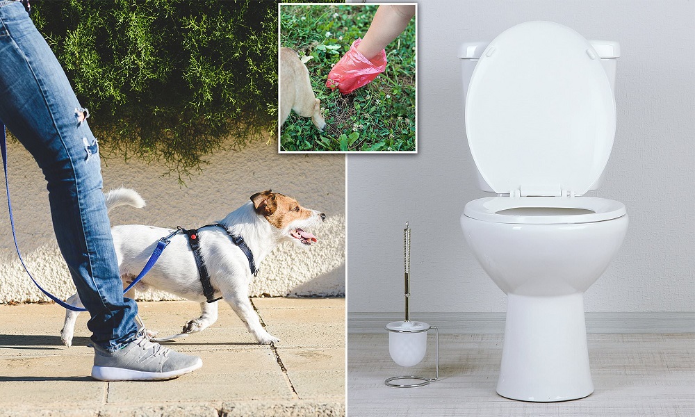 Can You Put Dog Poo down the Toilet Uk