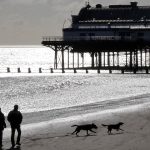 Can You Take Dogs on Cleethorpes Beach
