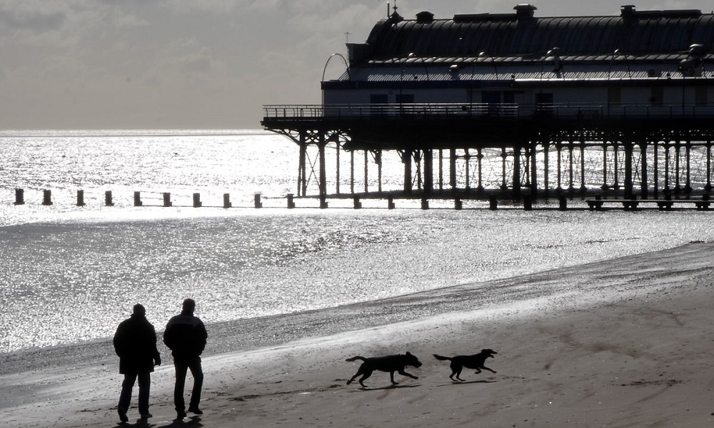Can You Take Dogs on Cleethorpes Beach