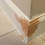 How to Stop Dogs Chewing Skirting Boards