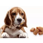 Is Caramel Bad for Dogs