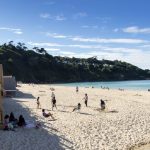 Is Carbis Bay Dog Friendly