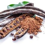Is Carob Ok for Dogs