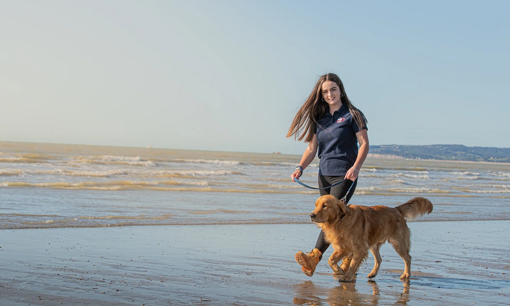 Is Eastbourne Beach Dog Friendly