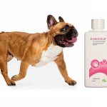 Is Hibiscrub Poisonous to Dogs