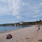 Is Seaton Beach Dog Friendly