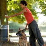 What Bin Does Dog Poo Go in