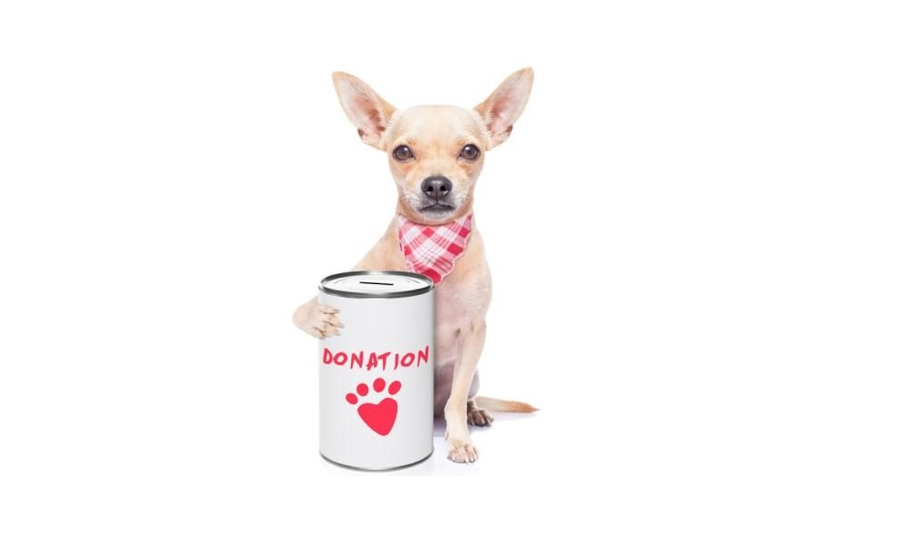 Where Can I Donate Dog Food near Me Uk? Pet Help Reviews UK