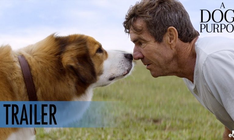 Where Can I Watch a Dog’s Purpose? – Pet Help Reviews UK