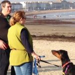 Are Dogs Allowed on Weymouth Beach