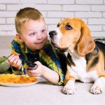 Can Dogs Have Crisps