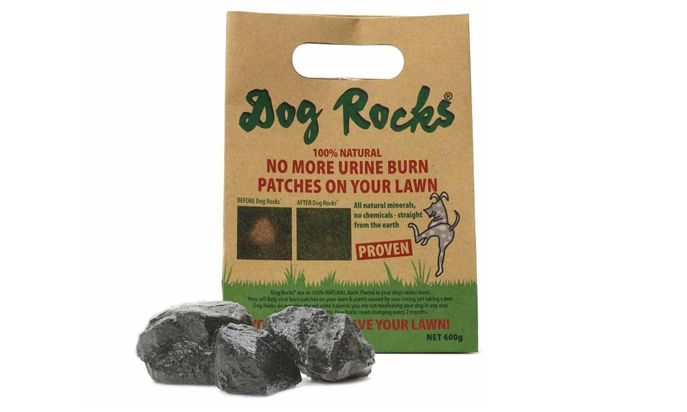 Do Dog Rocks Work