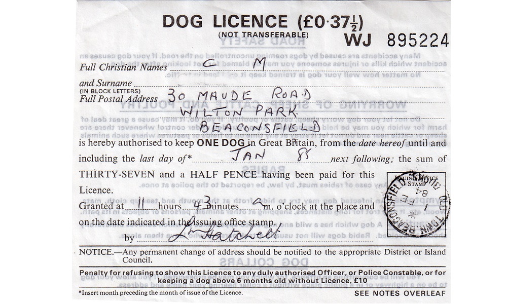 How Much was a Dog Licence Uk? Pet Help Reviews UK