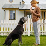 How to Stop Dogs from Scavenging at Home