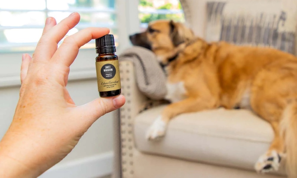 Is Patchouli Oil Safe for Dogs