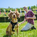 Is the Eden Project Dog Friendly