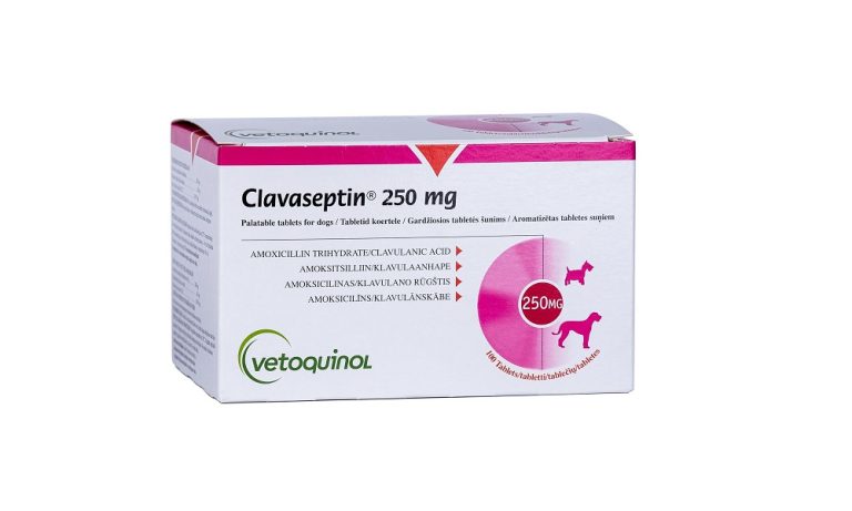 What is Clavaseptin Used for in Dogs? – Pet Help Reviews UK