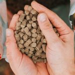 What is Cold Pressed Dog Food