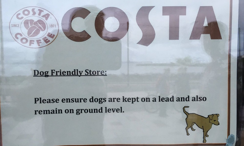 Are Dogs Allowed in Costa