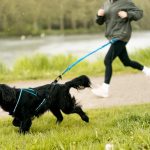 Are Dogs Allowed in Decathlon Uk