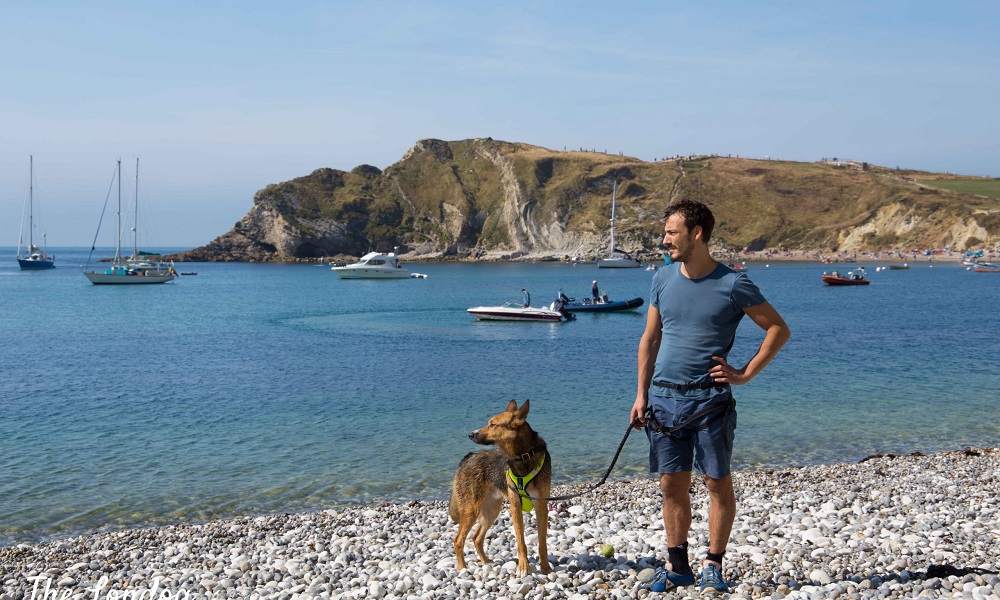 Are Dogs Allowed on Durdle Door Beach