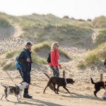Are Dogs Allowed on Southport Beach