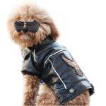 Are Leather Jackets Harmful to Dogs