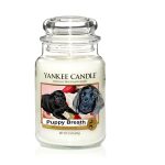 Are Yankee Candles Safe for Dogs