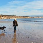 Can Dogs Go on Bridlington Beach