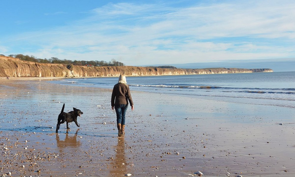 Can Dogs Go on Bridlington Beach