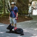 Can You Take Dogs to the Zoo